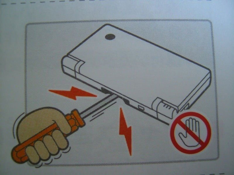 Illustration for article titled Hey Dummy, Don't Microwave The DSi (And Other Nintendo Tips)